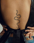 Leopard Snake