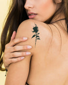 Black Smoke Rose