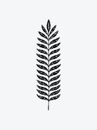 Big Leaf
