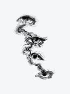 Eye Conscioussnes