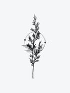Fir Needle Branch