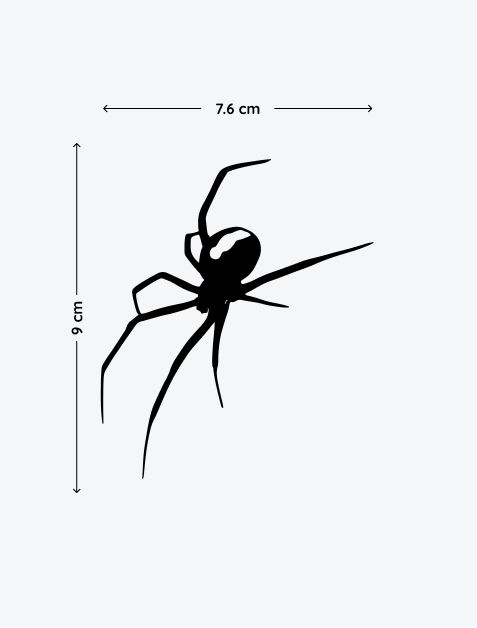 4.png