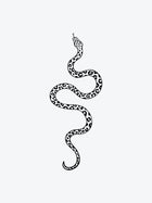 Leopard Snake
