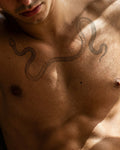 Snake - Long Curved – 2-week tattoo